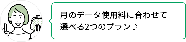 月のデータ使用料に合わせて選べる2つのプラン