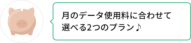 月のデータ使用料に合わせて選べる2つのプラン