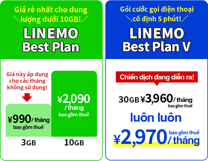 LINEMO Best Plan, LINEMO Best Plan V
